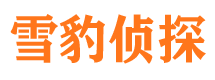 洋县外遇出轨调查取证